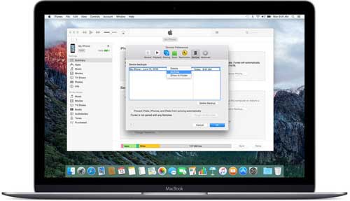 苹果启动 iOS 10 和 macOS Sierra 的 Public Beta推送