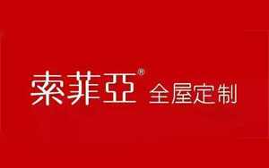 2017年最新的中国十大全屋定制品牌排行榜