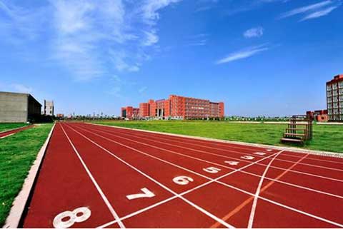 十大塑胶跑道品牌企业提高竞争力两大方面做起 十大塑胶跑道品牌企业提高竞争力两大方面做起