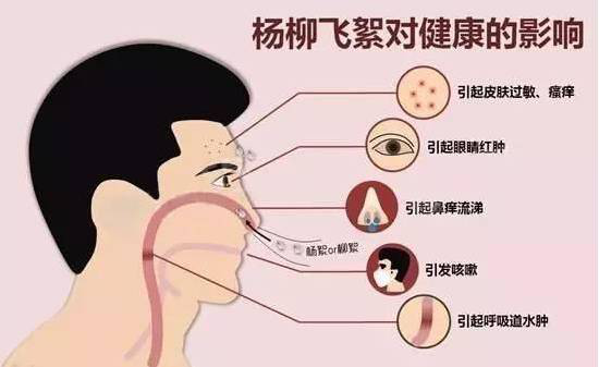 柳絮过敏让你鼻子发痒，空气堡新风系统让你舒爽