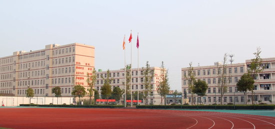 新学期新希冀碧丽智能40进驻安徽定远英华中学