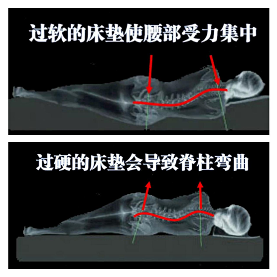 康丽莱：优质的睡眠从找到适合自己的床垫开始