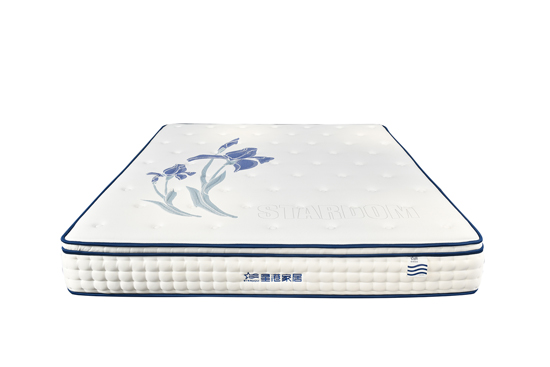 大暑炎炎蝉蛙鸣 夜夜好眠到天明 健康舒睡 尽在星港